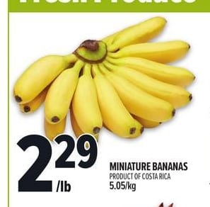 MINIATURE BANANAS