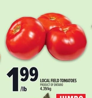 LOCAL FIELD TOMATOES