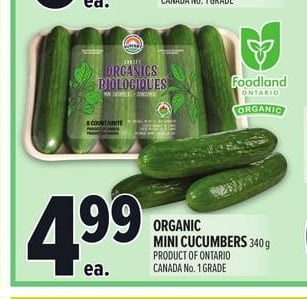 ORGANIC MINI CUCUMBERS