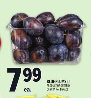 BLUE PLUMS