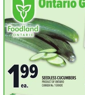 SEEDLESS CUCUMBERS