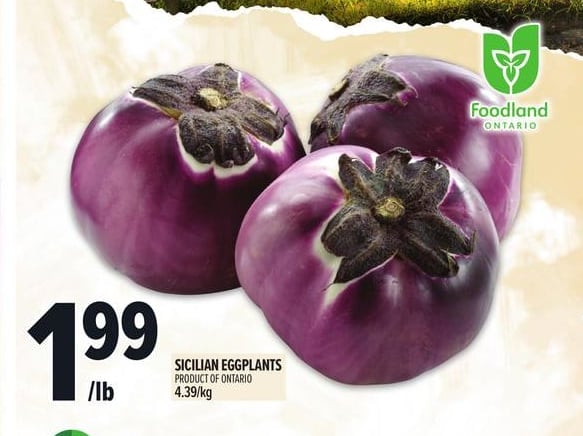 SICILIAN EGGPLANTS