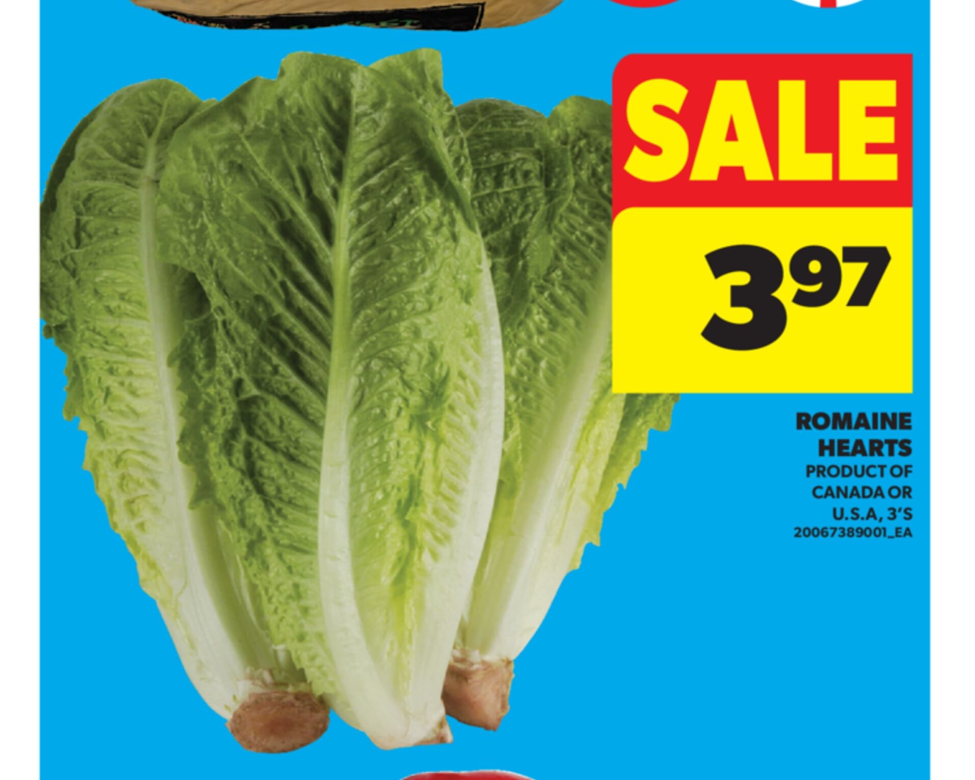 ROMAINE HEARTS