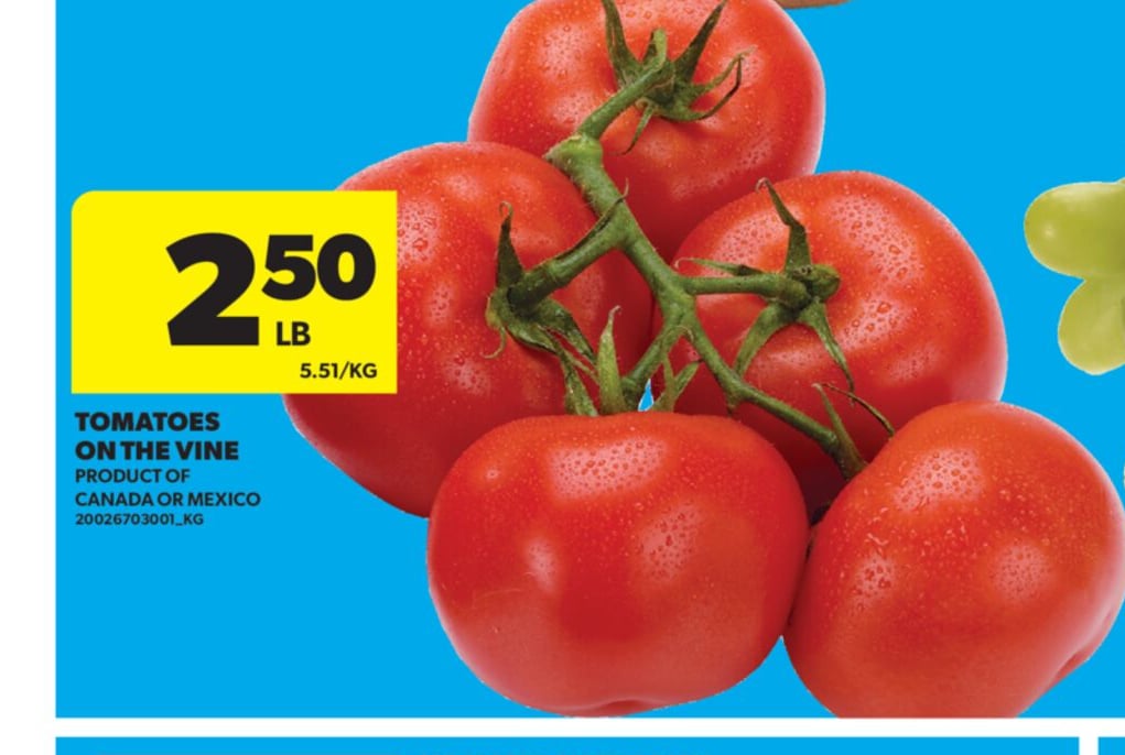 TOMATOES ON THE VINE