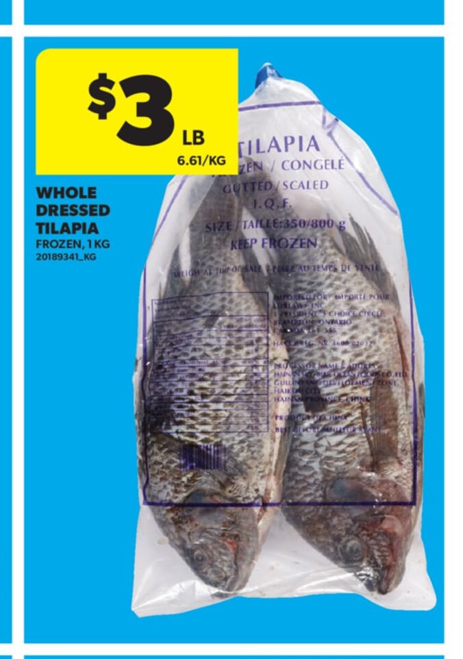 WHOLE DRESSED TILAPIA, 1 KG