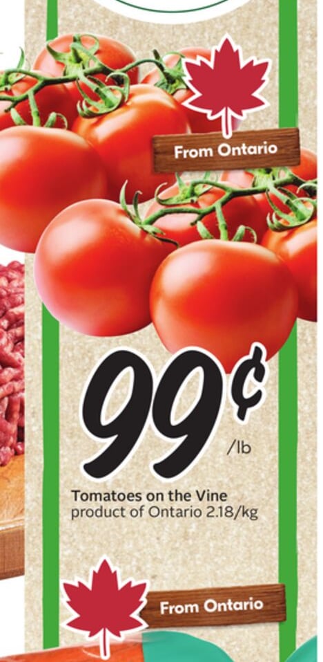 Tomatoes on the Vine