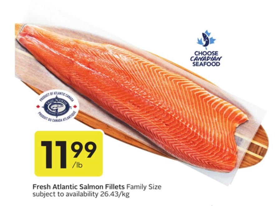 Fresh Atlantic Salmon Fillets