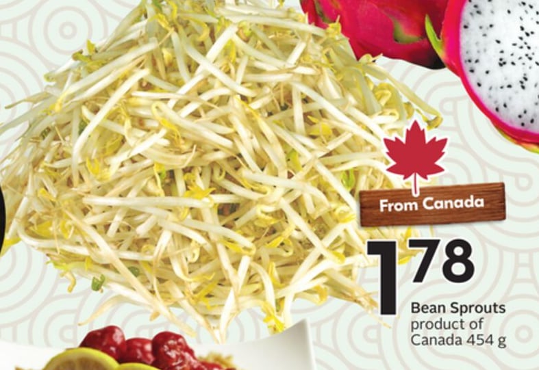 Bean Sprouts