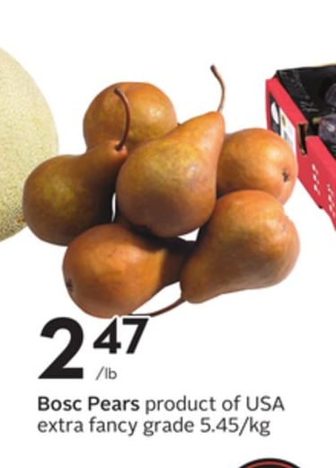 Bosc Pears