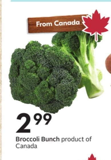 Broccoli Bunch