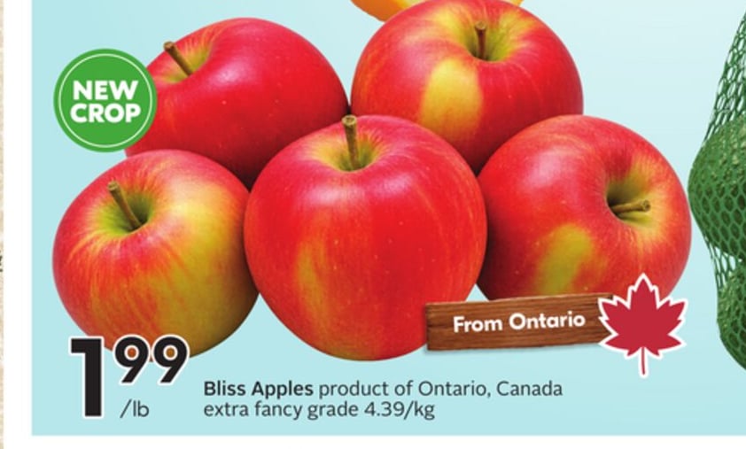 Bliss Apples