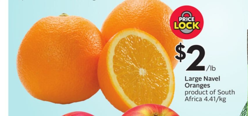 Large Navel Oranges