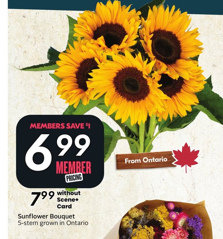 Sunflower Bouquet