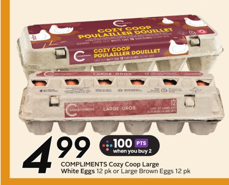 COMPLIMENTS Cozy Coop Large White Eggs